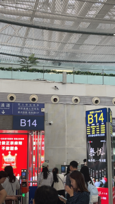 与徐川一起逛香港