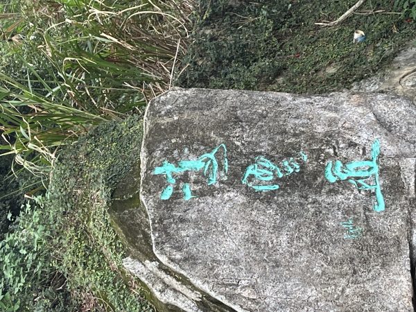 开始登梧桐山