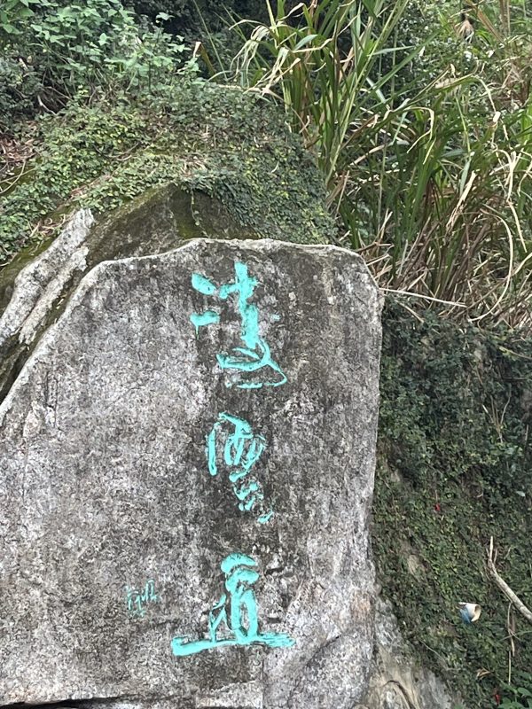 开始登梧桐山
