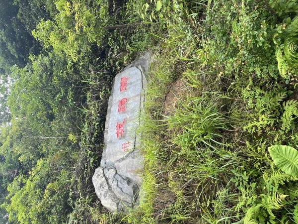 踯躅坡
