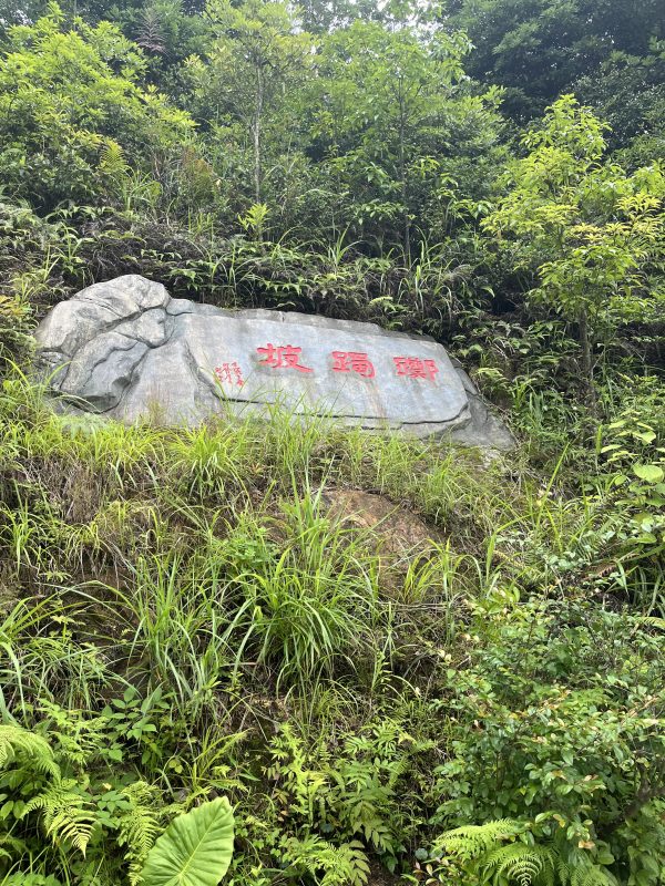 踯躅坡
