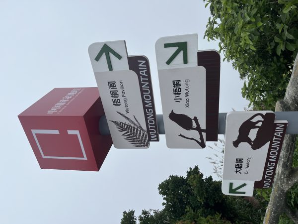 梧桐阁,小梧桐,大梧桐