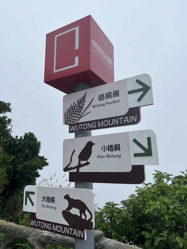 梧桐阁,小梧桐,大梧桐