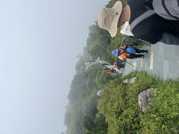 梧桐山上的雾气
