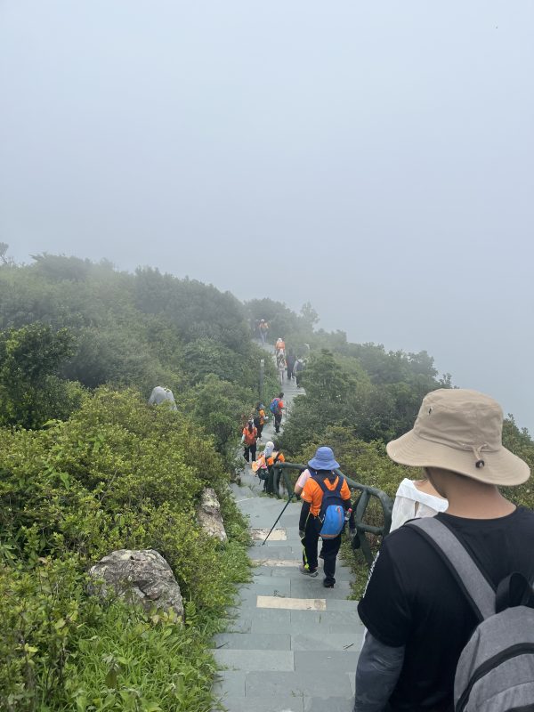 梧桐山上的雾气