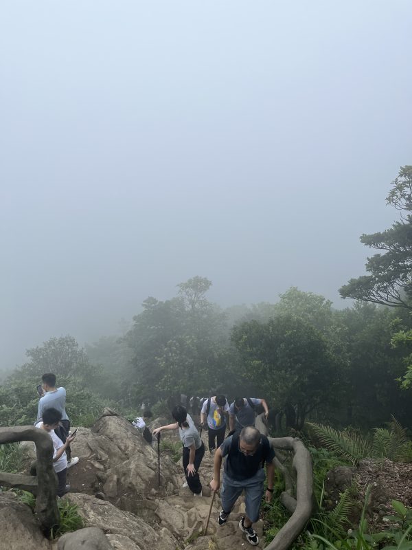 梧桐山盐田下山路