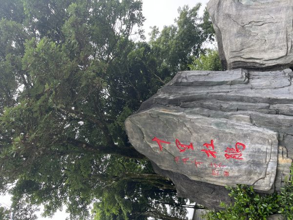 十里杜鹃