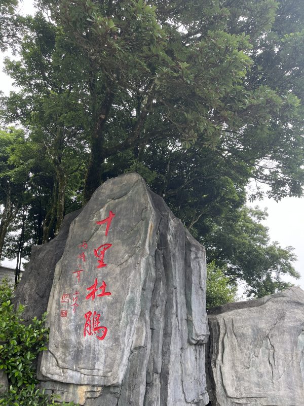 十里杜鹃
