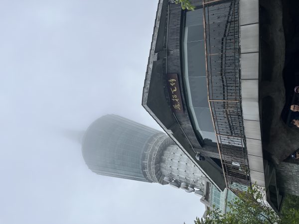 小梧桐电视塔