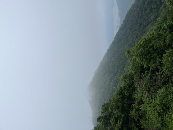 雾气笼罩的梧桐山