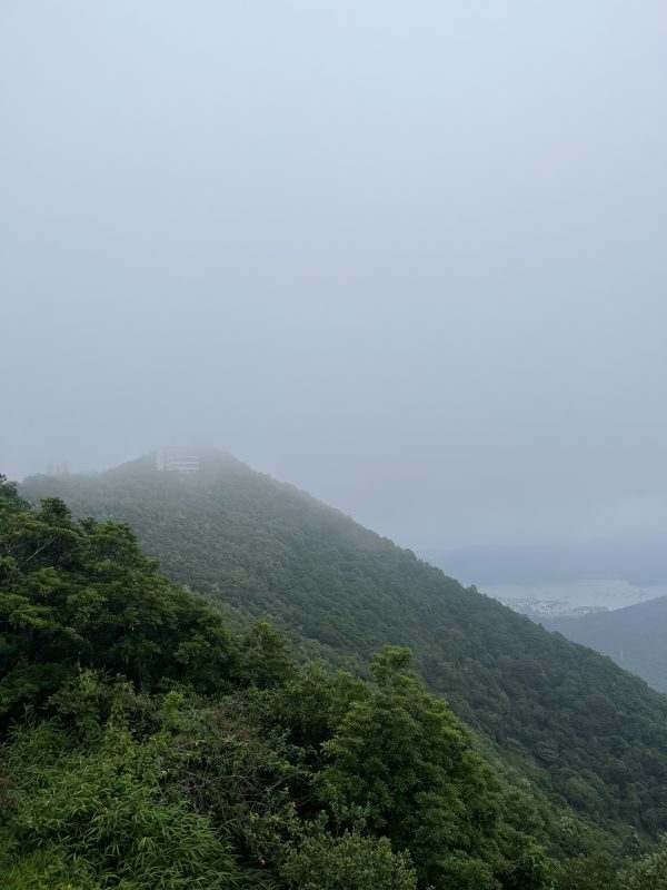 雾气笼罩的梧桐山