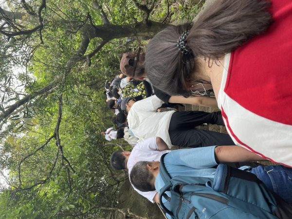 端午节登梧桐山