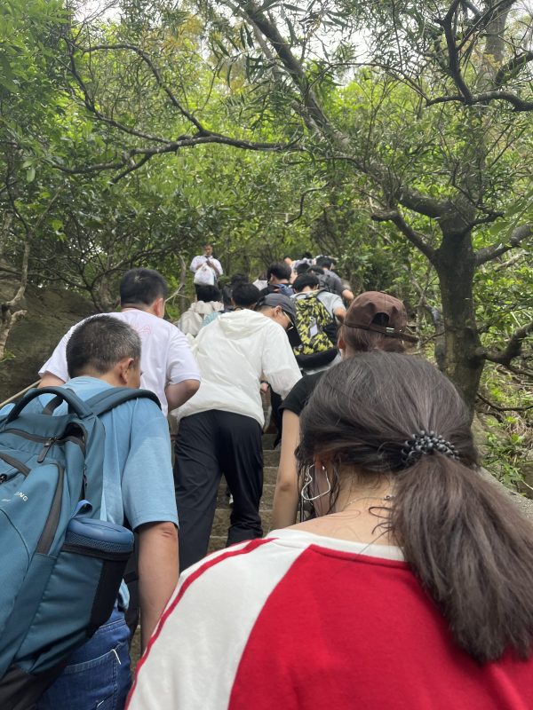 端午节登梧桐山