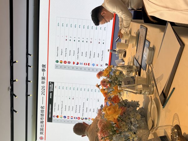 2026年第一季度英国出海市场排名