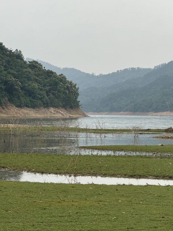在湖边沼泽地安营