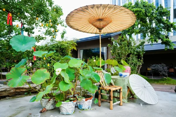 庭院一角摆着荷花缸、竹椅和一把撑开的油纸伞