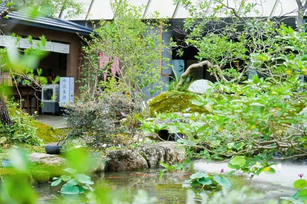 由叠石、流水和绿植构成的庭院水景