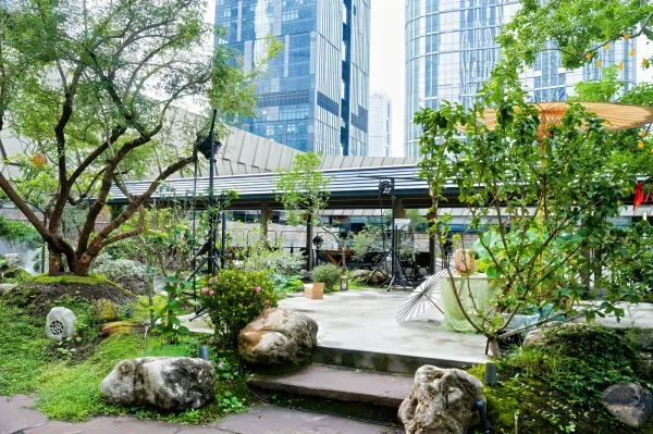 九如餐厅庭院里的乔木与石阶,背景是深圳南山的楼群