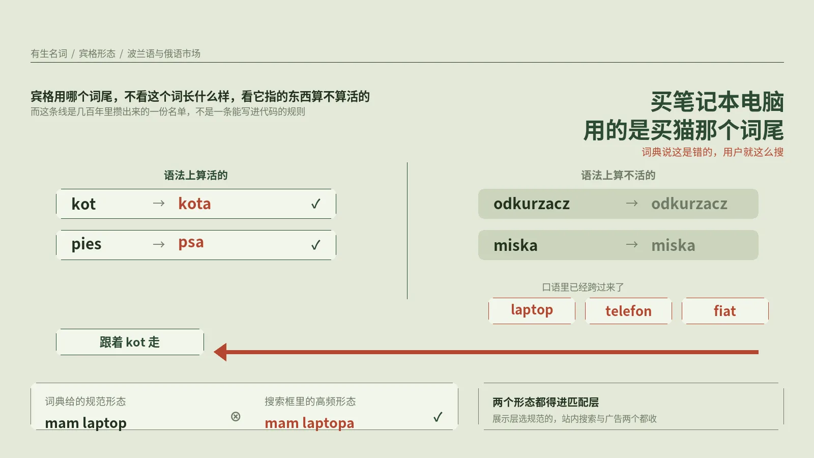 波兰语给笔记本电脑用的是买猫那个词尾，词典说这是错的，用户就这么搜